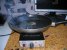 DSCN1979.JPG