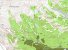 topomap190120103.jpg
