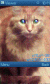 Image Viewer.GIF