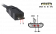 P999.png P999.png