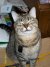100_0012.JPG