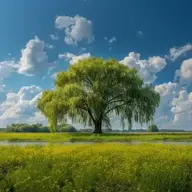 sally_65