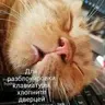 Семиург