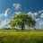 sally_65